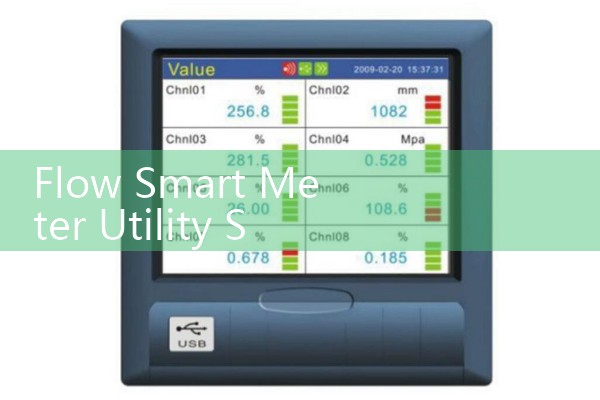 Flow Smart Meter Utility Sizing: Advanced AMR and AMI Networks for Automated Commercial Billing